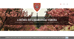 Desktop Screenshot of portal.sopron.hu